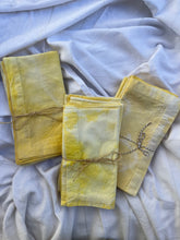Load image into Gallery viewer, Garden-Dyed Dish Towel (4)